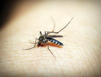 Quality Bug Exterminators image 4