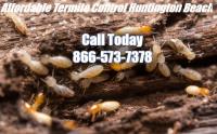 Affordable Termite Control image 3