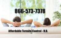 Affordable Termite Control image 4