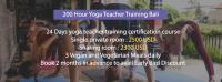 Vinyasa Yoga School Bali image 1