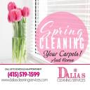 Dalias Cleaning Services logo