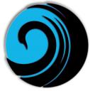 Black Swan Media Co Providence SEO Agency logo