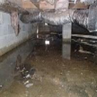 Foundation and Crawl Space Pros image 1