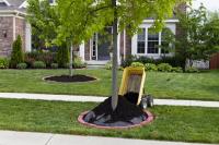 Arlington Tree Service Pros image 2
