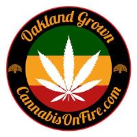Cannabis On Fire image 1