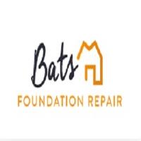 Bats Foundation Repair image 4