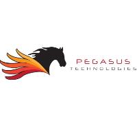Pegasus Technologies image 1