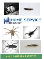 Home Service Nearby image 3
