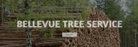 Bellevue Tree Trimming image 1