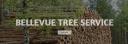 Bellevue Tree Trimming logo
