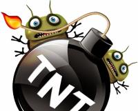 TNT Termite & Pest image 1