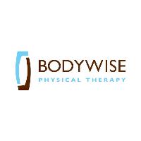 Bodywise Physical Therapy image 1