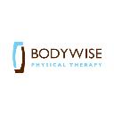Bodywise Physical Therapy logo