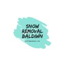 Snow Removal Baldwin logo