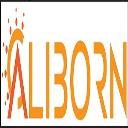 The CaliBorn Store logo