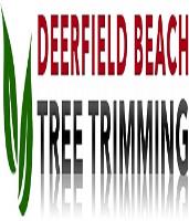 Tree Trimming Deerfield Beach image 2