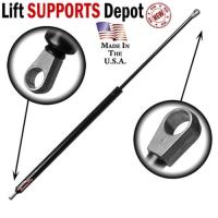 Lift Supports Depot image 2