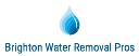 Brighton Water Removal Pros logo