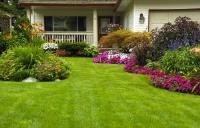 Elite Landscaping Madison image 3