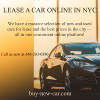 Buy New Car image 5
