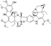 Conophylline image 1