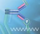 Phospho-specific Antibodies logo