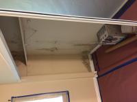 Water Damage Recovery image 10