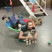 Sammy's Doggie Daycare & Boarding image 5