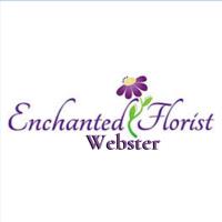 Enchanted Florist - Webster Flowers image 1