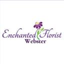 Enchanted Florist - Webster Flowers logo