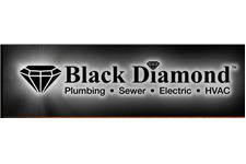 Black Diamond image 1