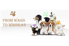 From Wags to Whiskas image 1
