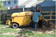 Willow Tree & Landscaping Services image 4
