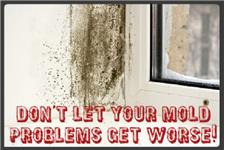 Mold Remediation Pros image 3