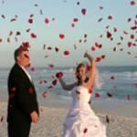 Ultimate Beach Weddings image 2