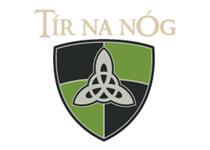Tir na nOg Irish Pub image 1