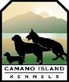 Camano Island Kennels image 2