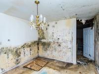 Anthony’s Asbestos Mold Removal image 1