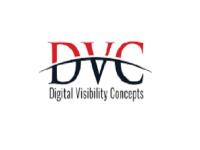 Digital Visibility Concepts image 1
