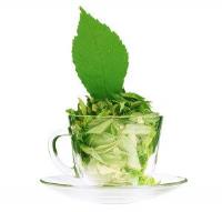 Enzo Matcha Green Tea image 5