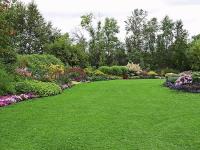 Landscaping Services Parsippany NJ image 3