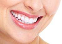 Standard Dental LLC image 22