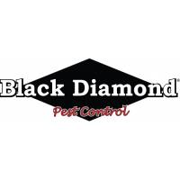 Black Diamond Pest Control - Nashville image 1