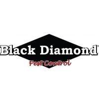 Black Diamond Pest Control - Lexington, KY image 1