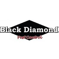 Black Diamond Pest Control - Myrtle Beach, SC image 1