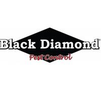 Black Diamond Pest Control image 1