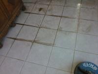 Steambrite Carpet Cleaning Services image 1
