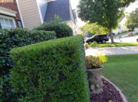 Barber Landscaping and Lawn Care image 3