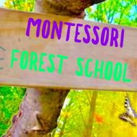 Montessori Forest School image 4