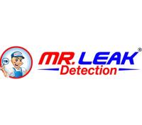 Mr. Leak Detection of Georgia image 1
